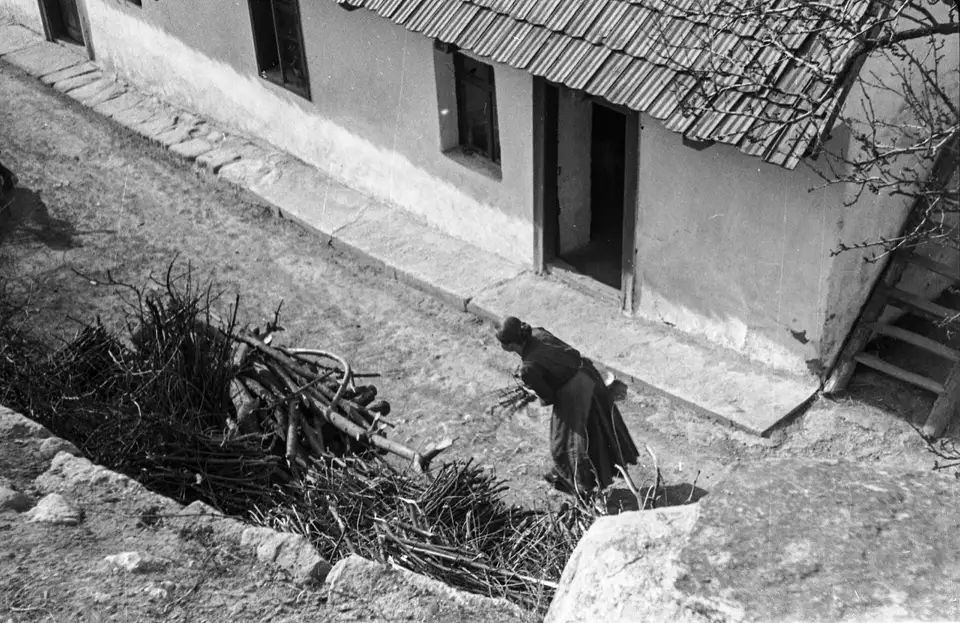 Kobieta zbiera chrust przy bielonym domu, widok z góry