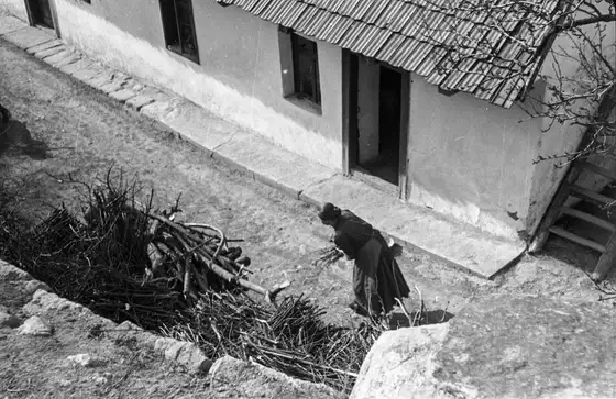 Kobieta zbiera chrust przy bielonym domu, widok z góry